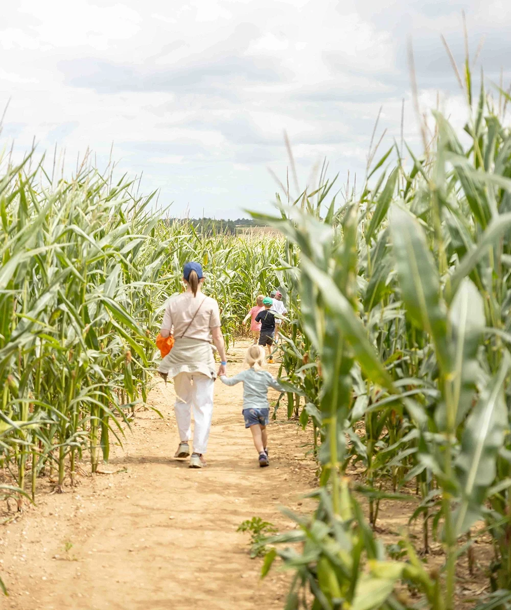 A family enjoying the maize maze