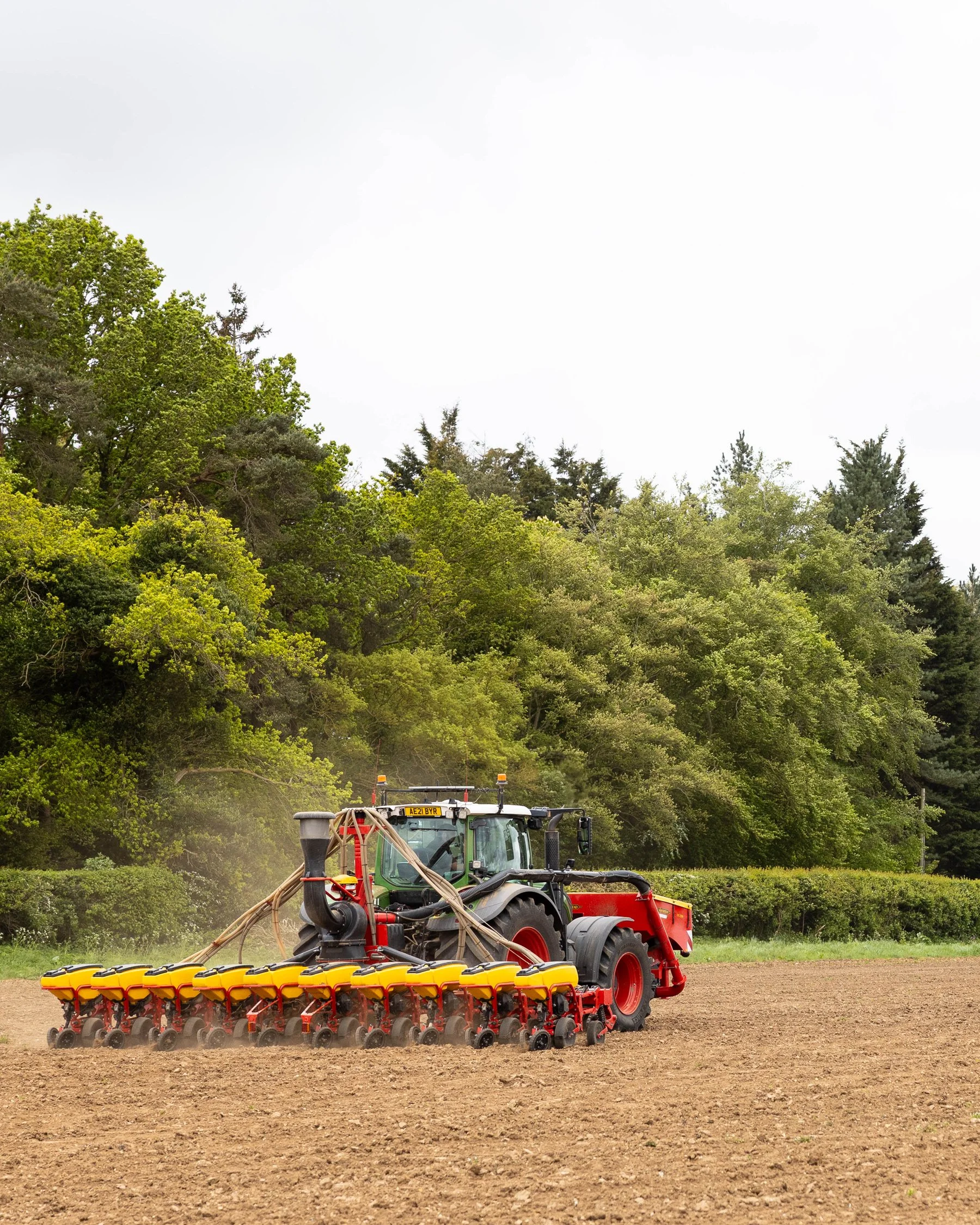 Seed drilling on the Barsham Estate