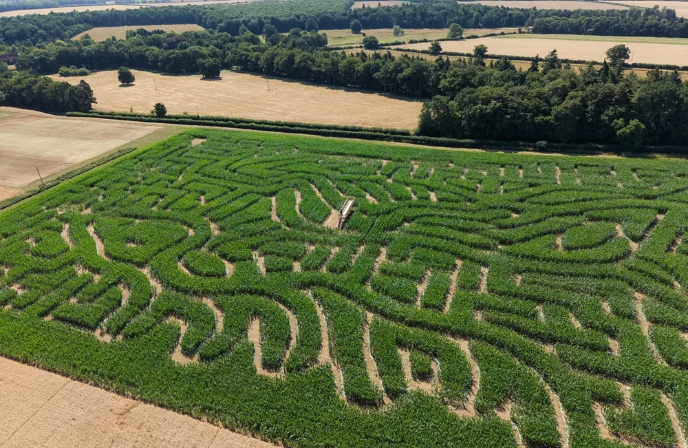 The new Maize Maze on the Barsham Estate is the perfect family day out in North Norfolk
