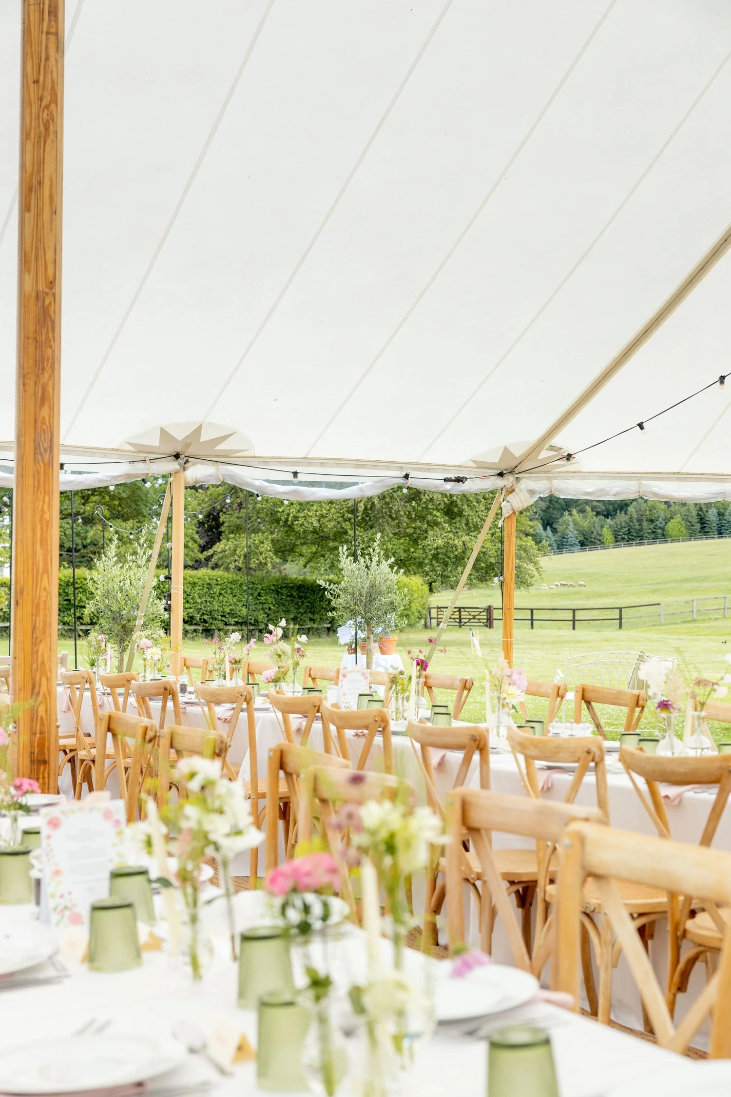 A marquee in the meadow on the Barsham estate