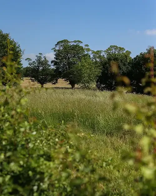 Farming and conversation on the West Barsham Estate