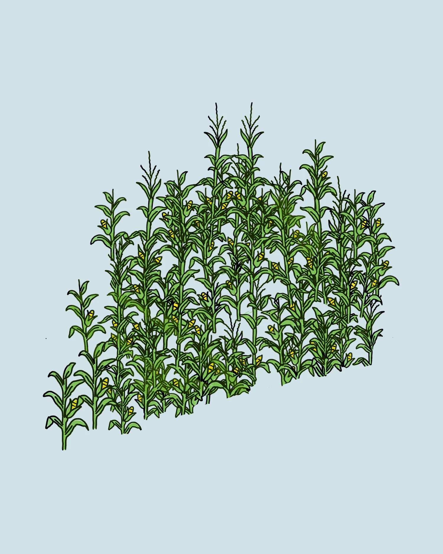 The Maize Maze #map-the-maze