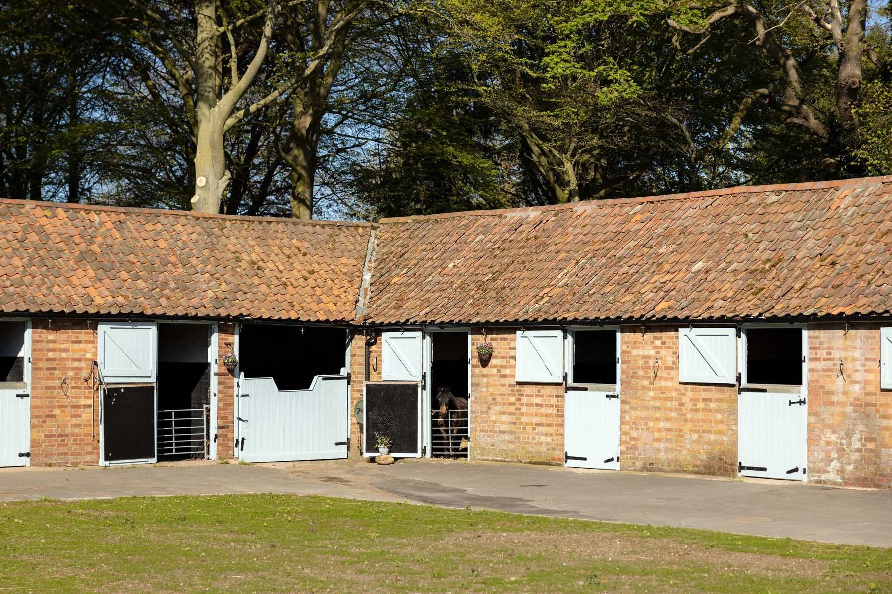 The livery yard on the Barsham estate