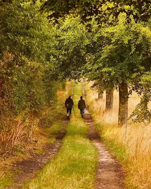 Walking through the rolling North Norfolk countryside on the Barsham Estate