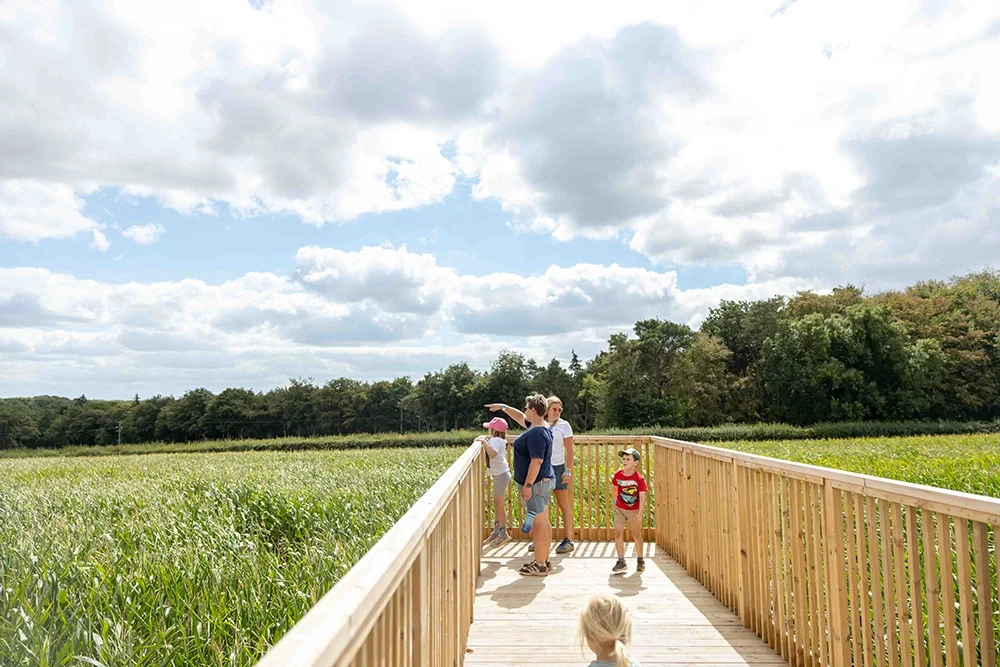 A family looking across the maize maze from the viewing platform
