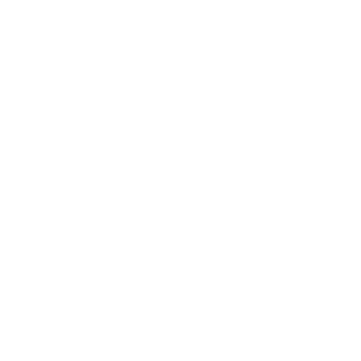 BALTIC SHIELD GROUP