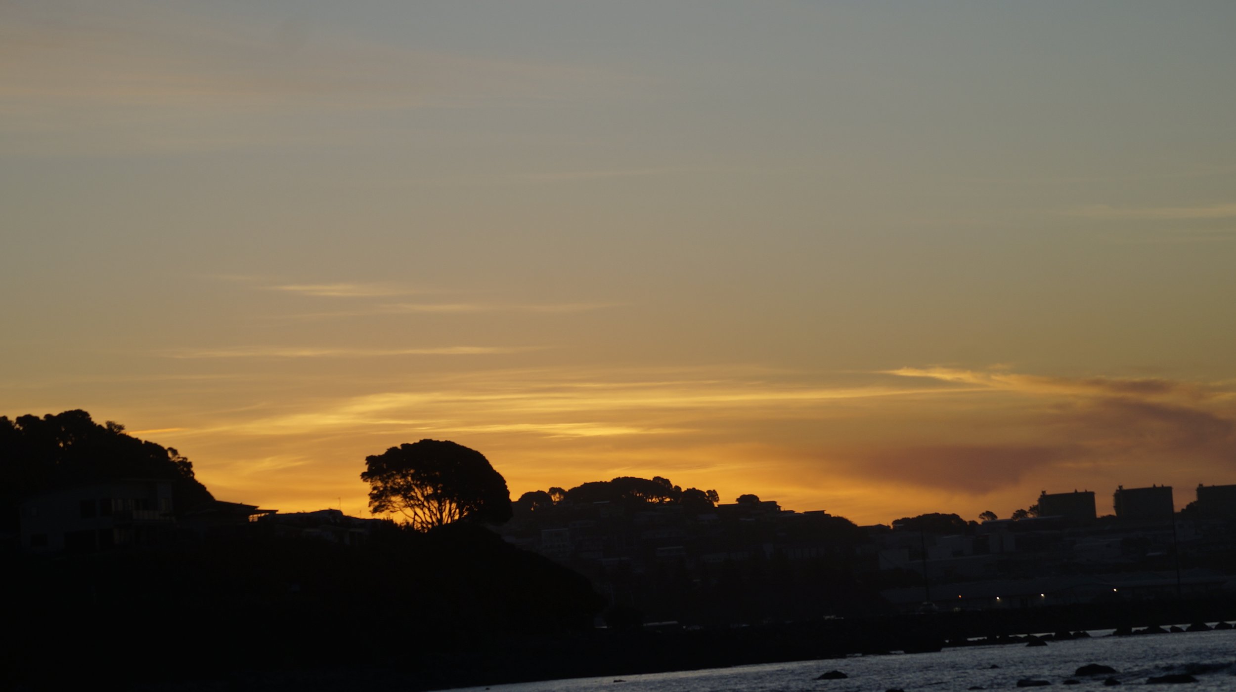 _DSC9236.jpeg