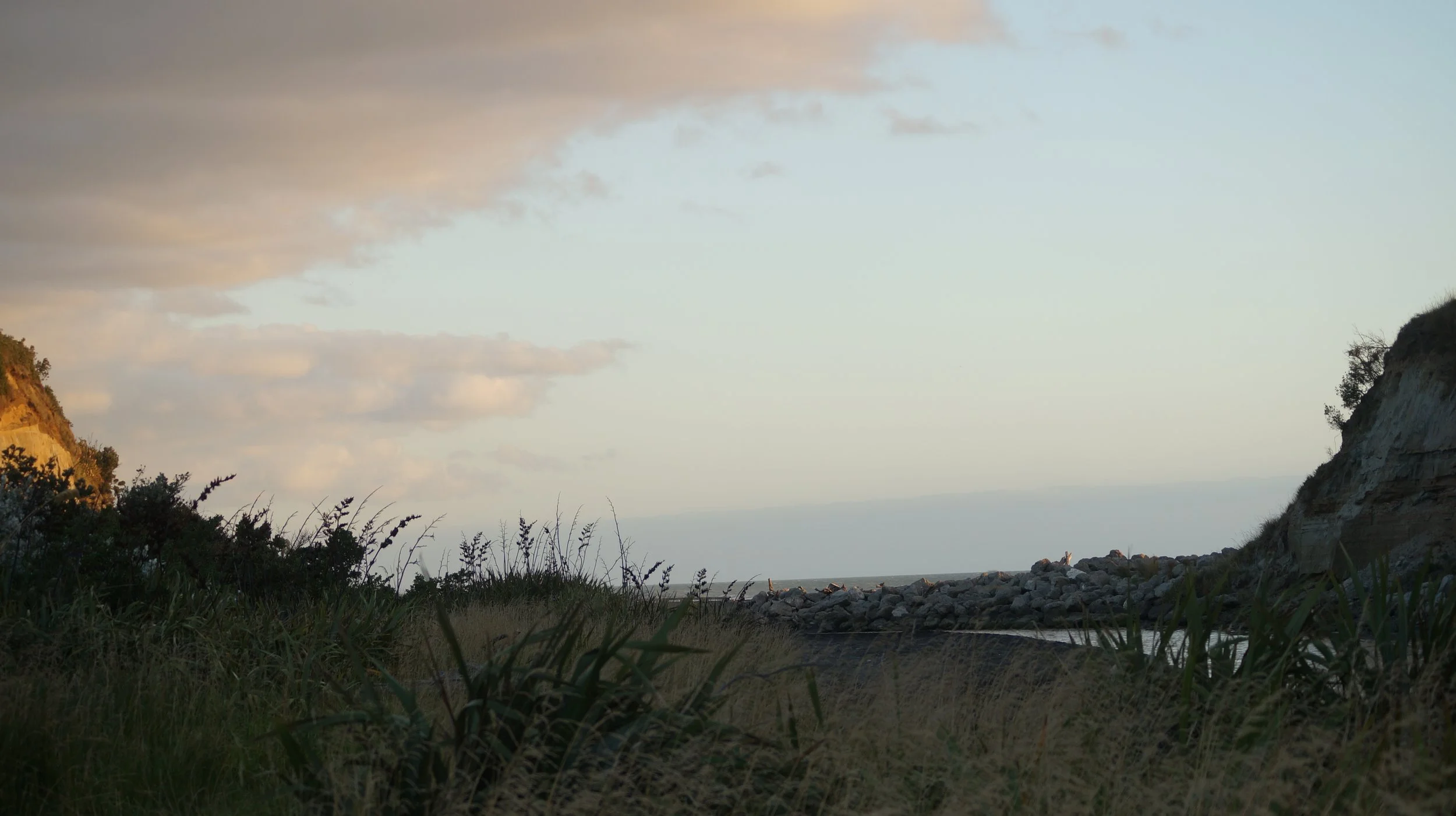 DSC08658.JPG