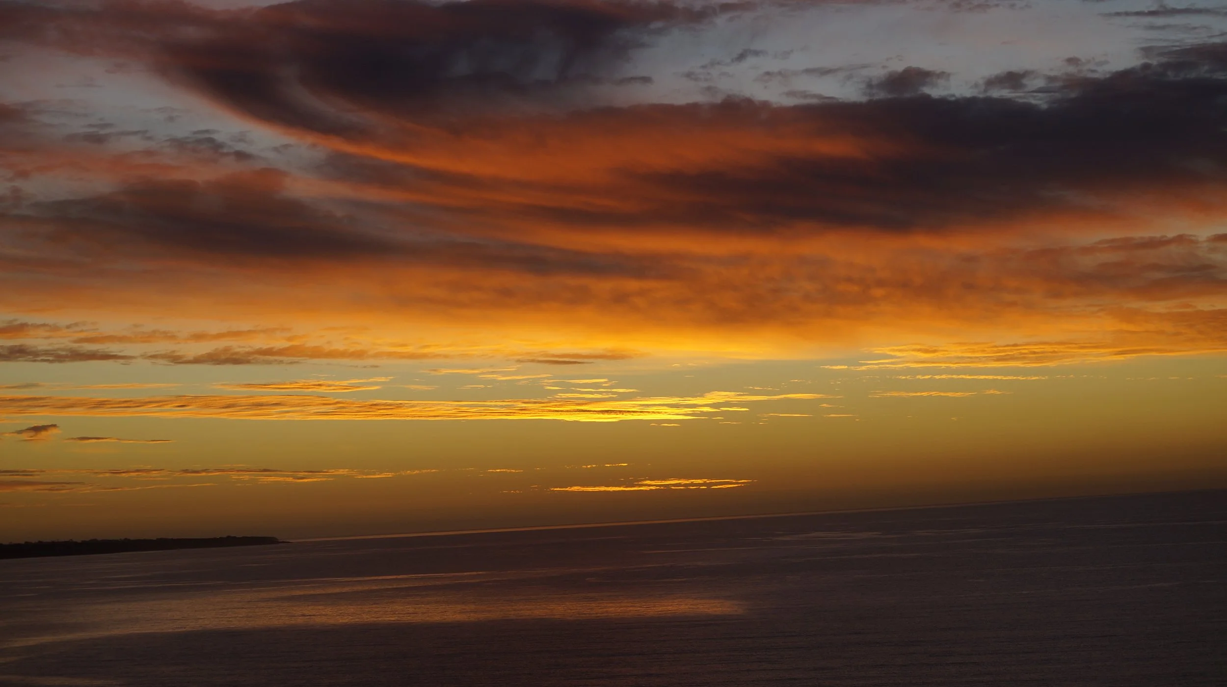 _DSC9143.jpeg