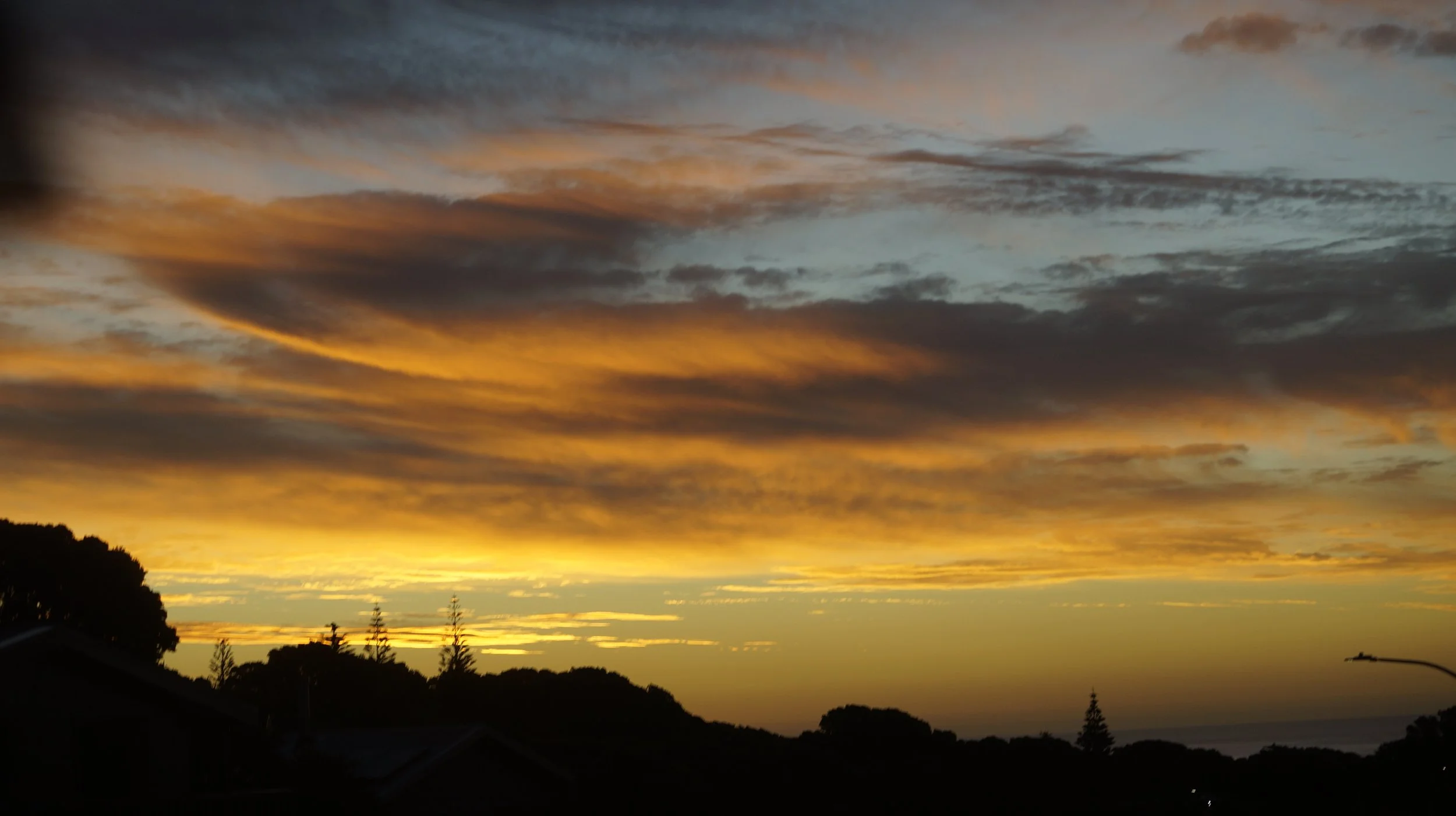 _DSC9134.jpeg