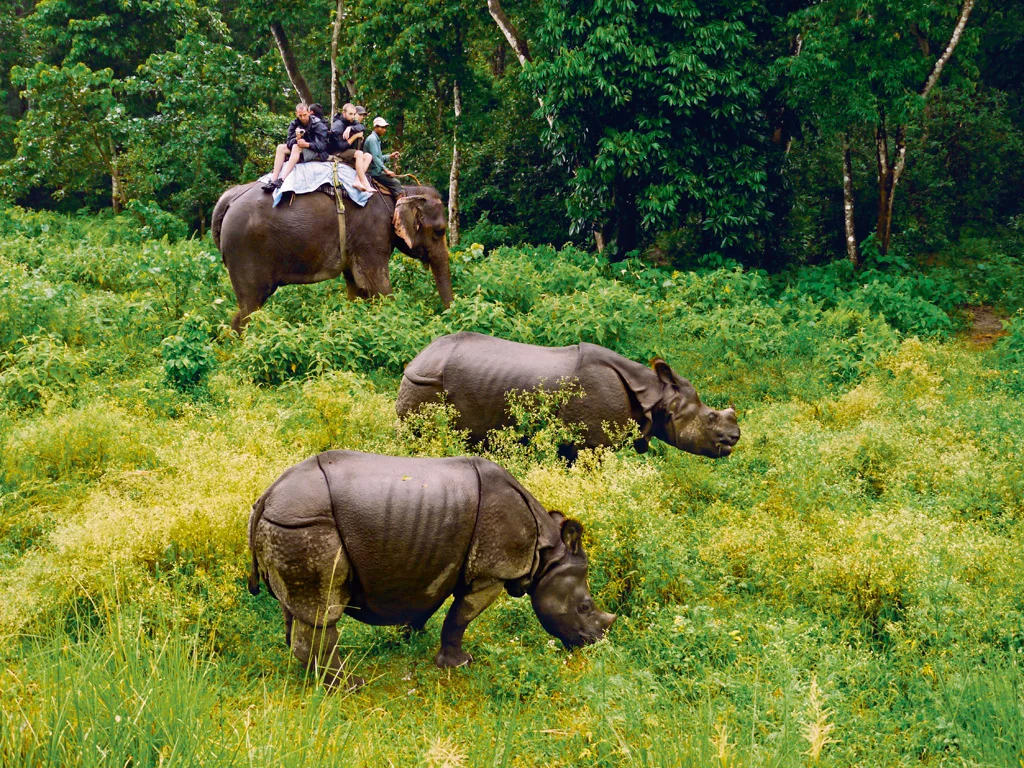 Nepal Today, Bargain of a Lifetime