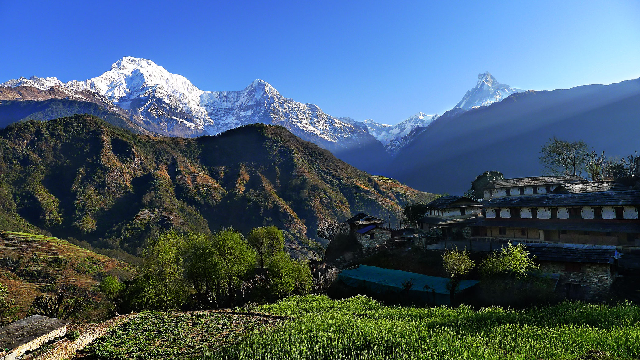 Numero Uno Nepal