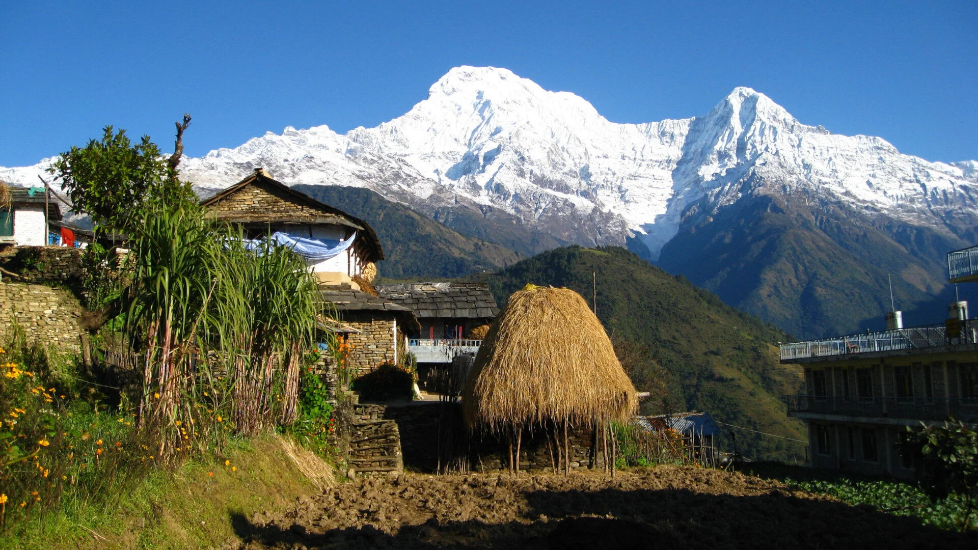 The Pokhara Dhampus Trek 
