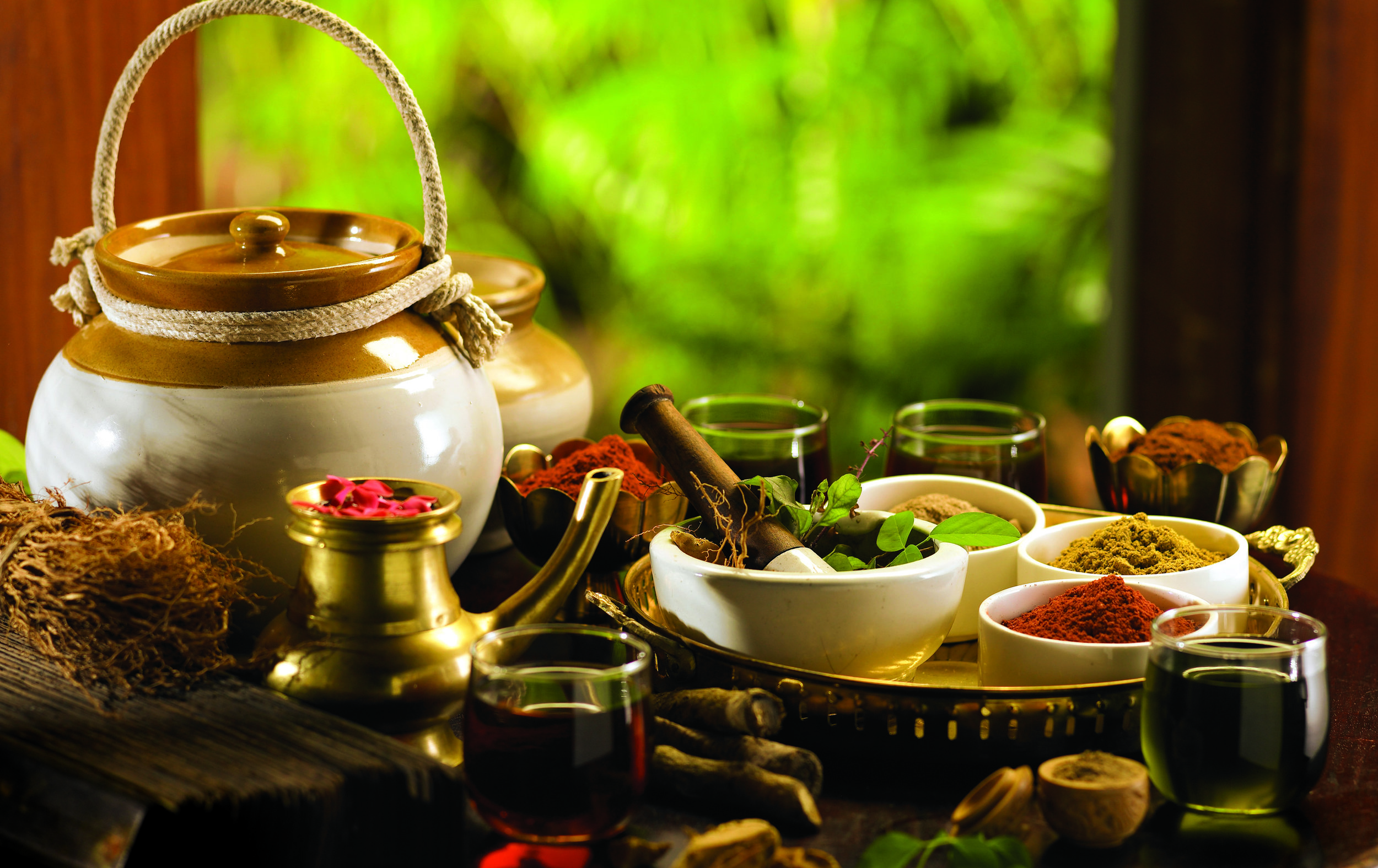 The Allure of Ayurveda