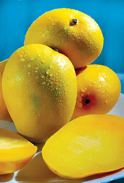 Enjoy Fruity Nepal