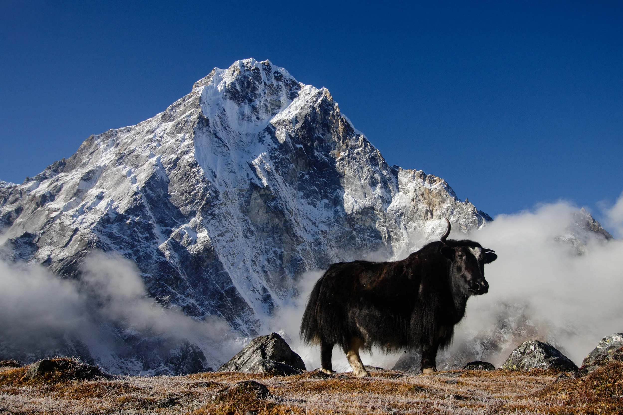 UNESCO World Heritage: Sagarmatha National Park 