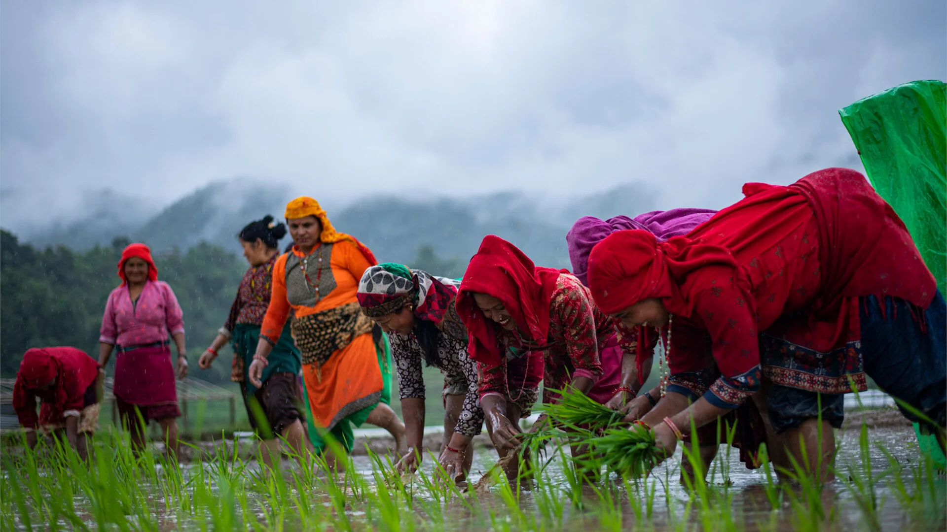 Exploring Nepal In Monsoon