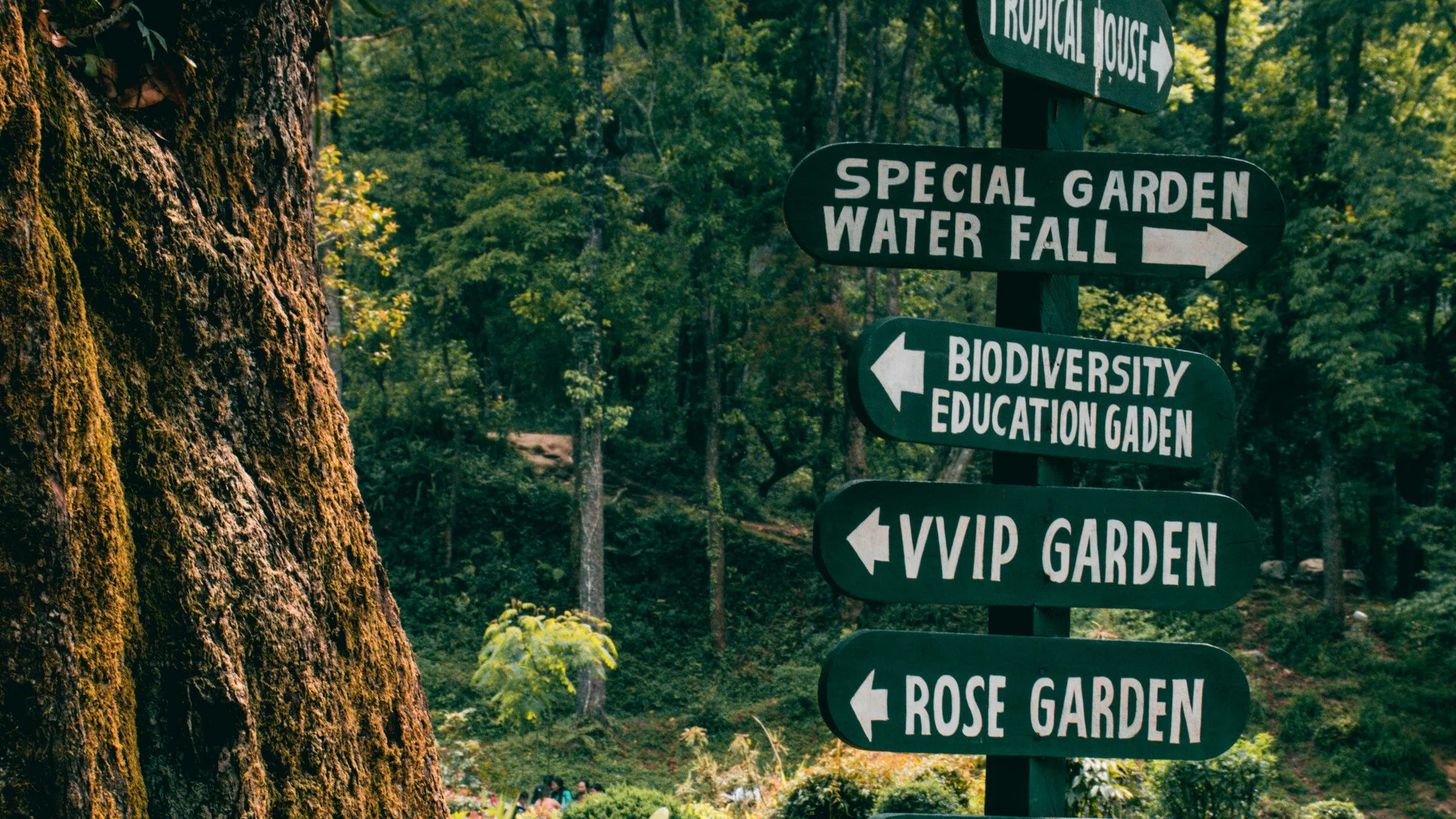 Oases In An Urban Jungle - Part I