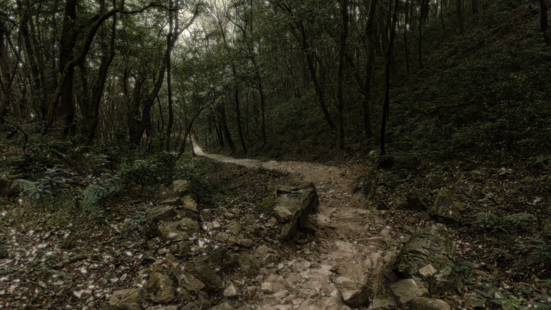Hiking Trails In &amp; Around Kathmandu Valley - Part II