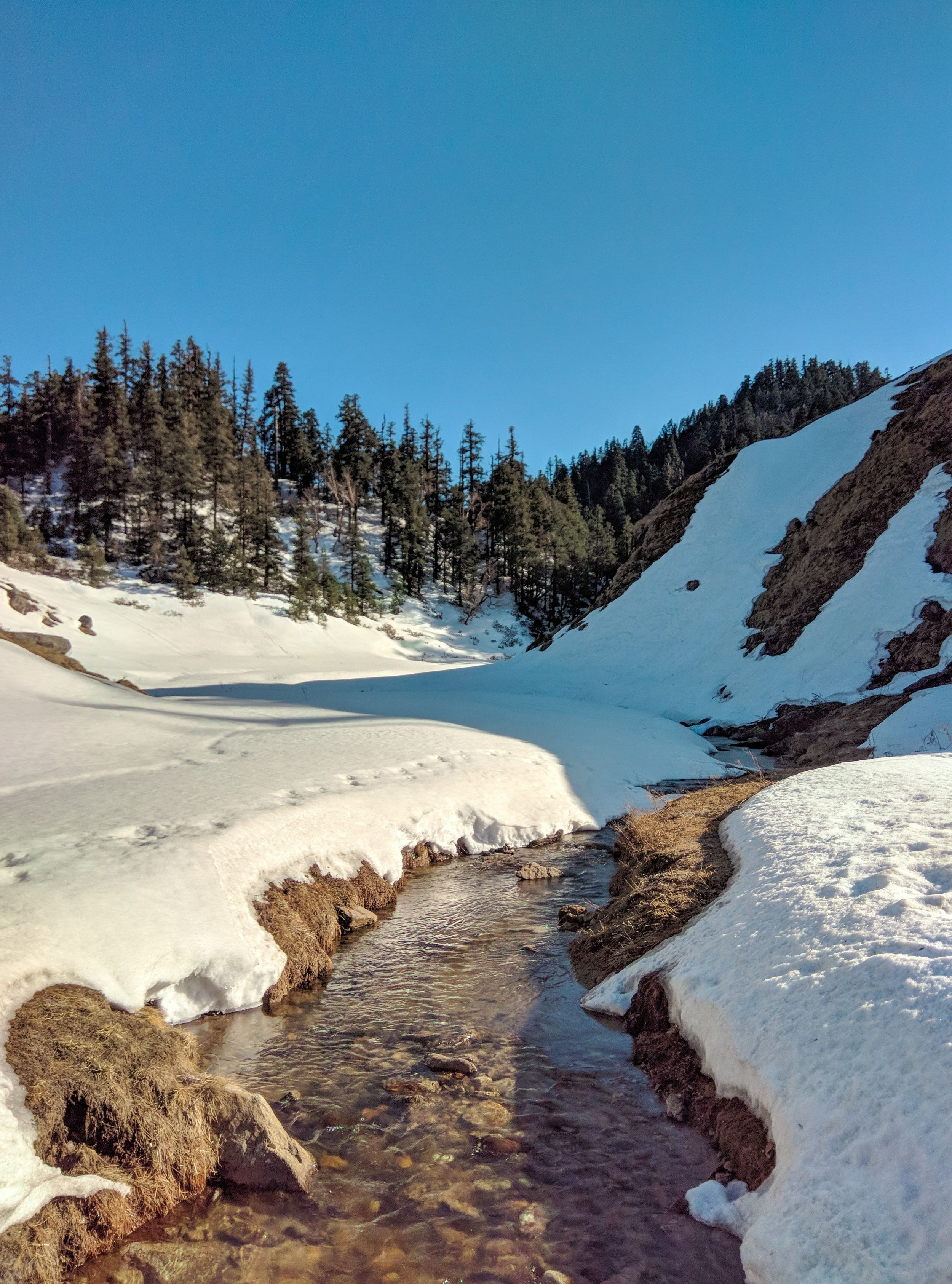 Khaptad National Park: A Gem of The West