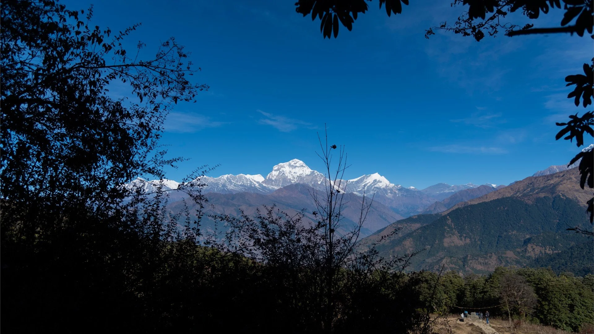 Trekking Annapurna
