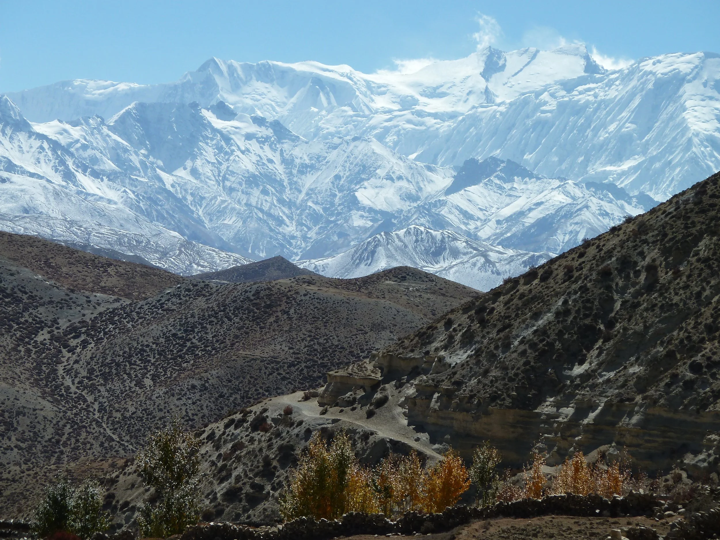 Exploring Mustang