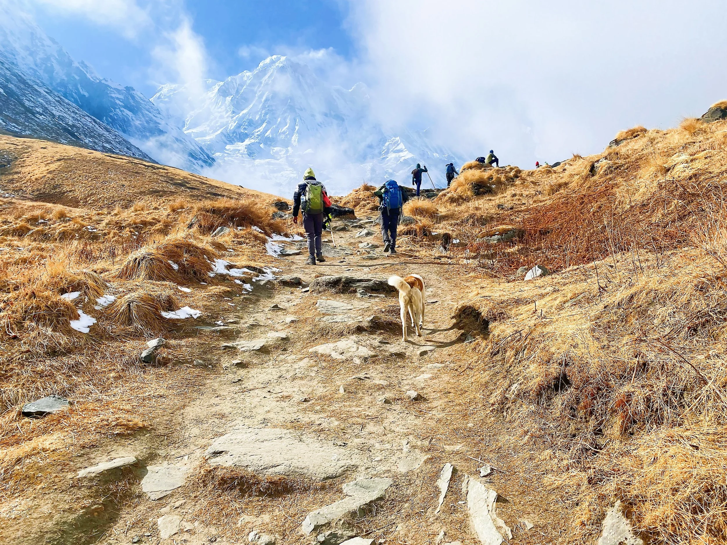 Wandering In the Himalayas: A Trekker's Paradise