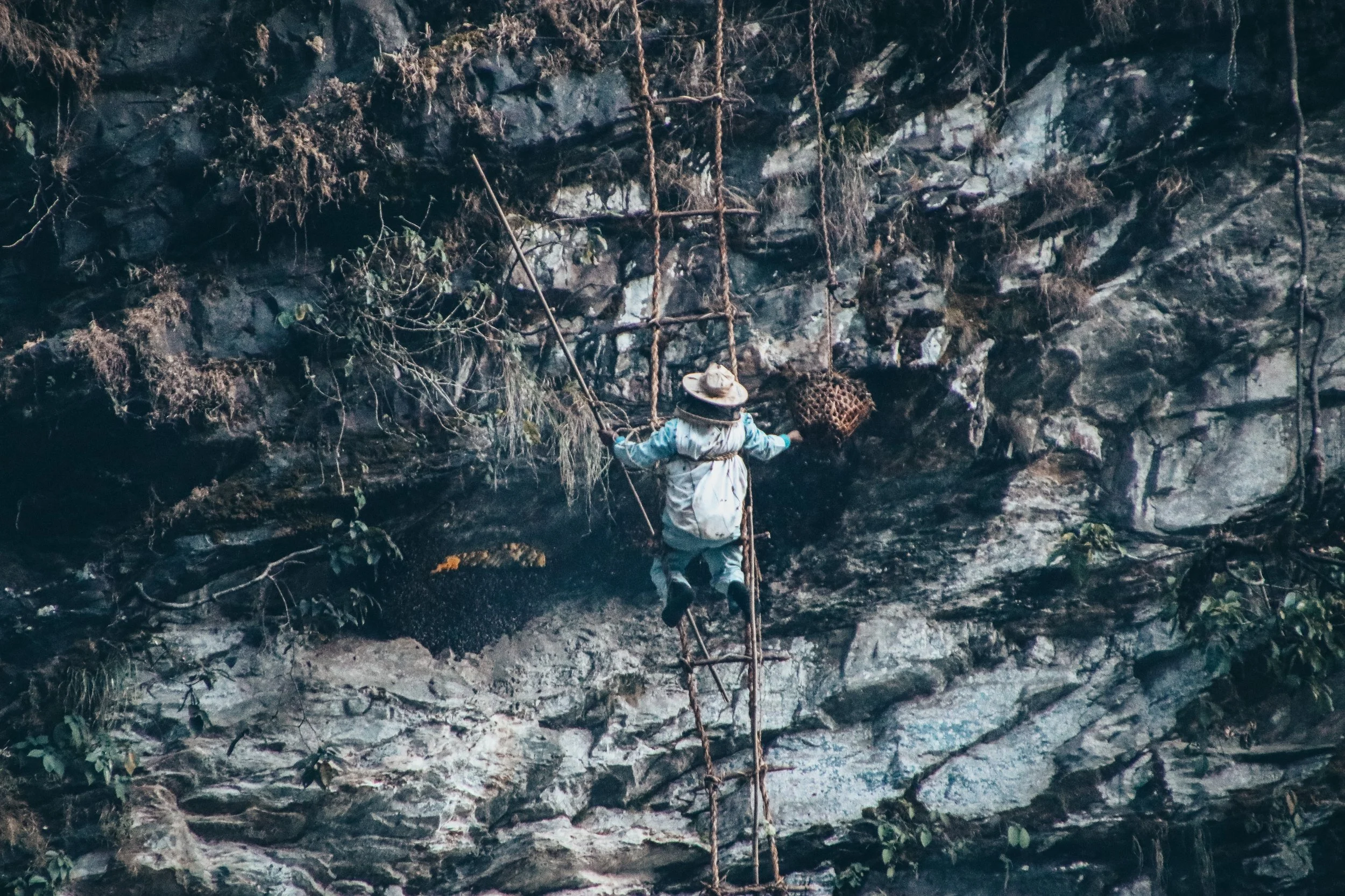 Honey Hunters of Nepal: Harvesting Nature's Liquid Gold