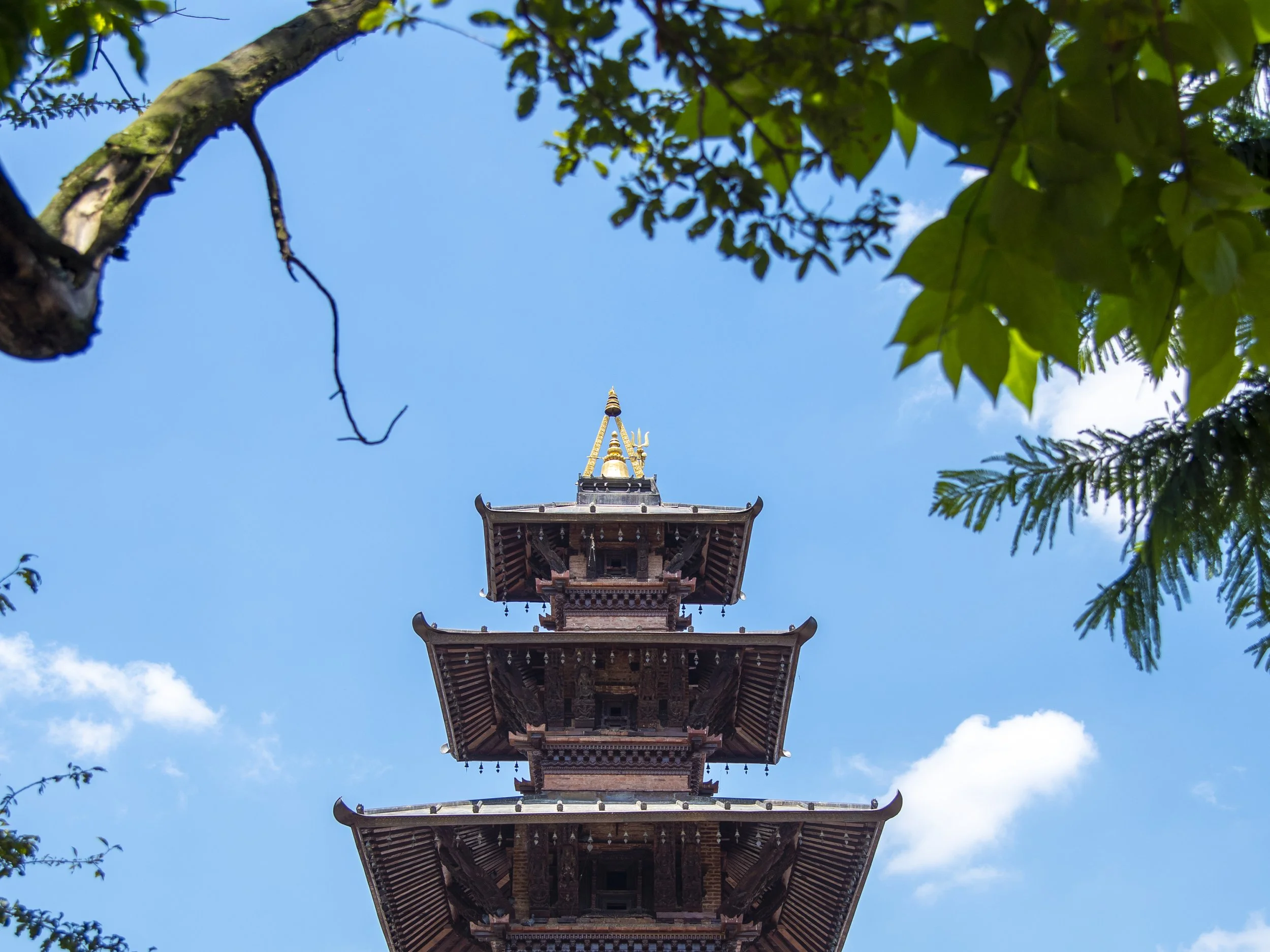 Encountering the Sacred: A Guide to Nepal's Must-Visit Shiva Temples