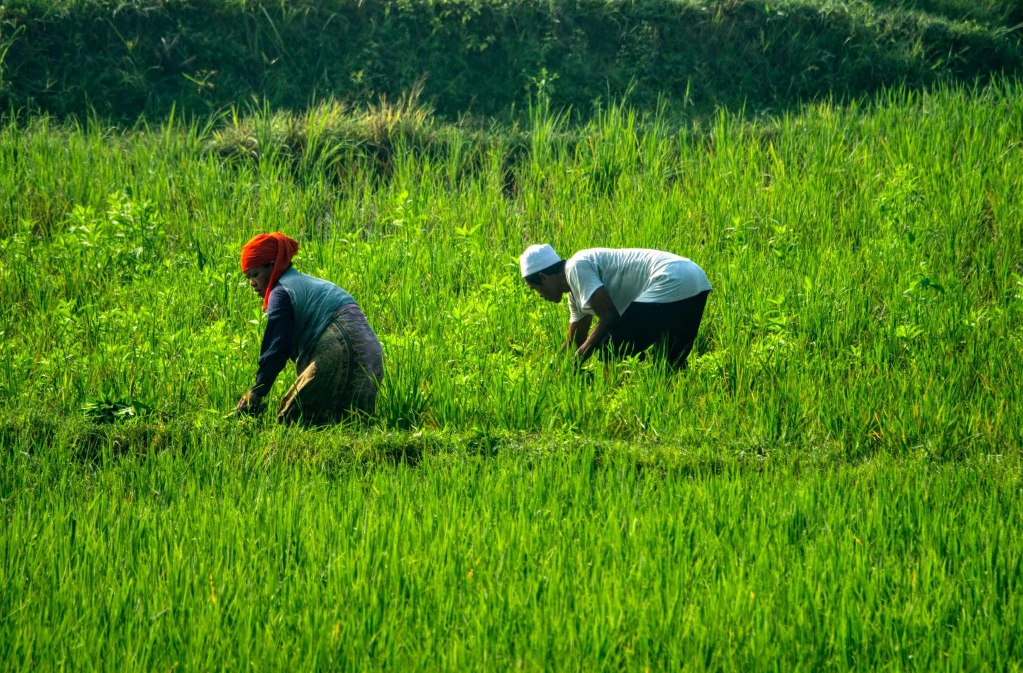 World Earth Day