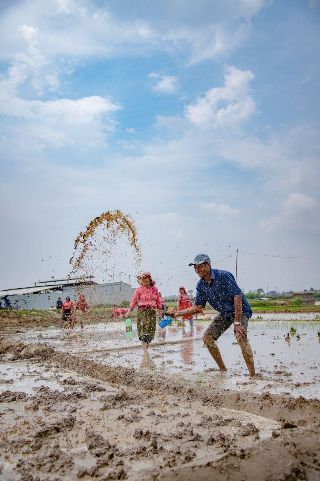 National Paddy Day: A Celebration of Rice, Rituals, and Resilience in Nepal
