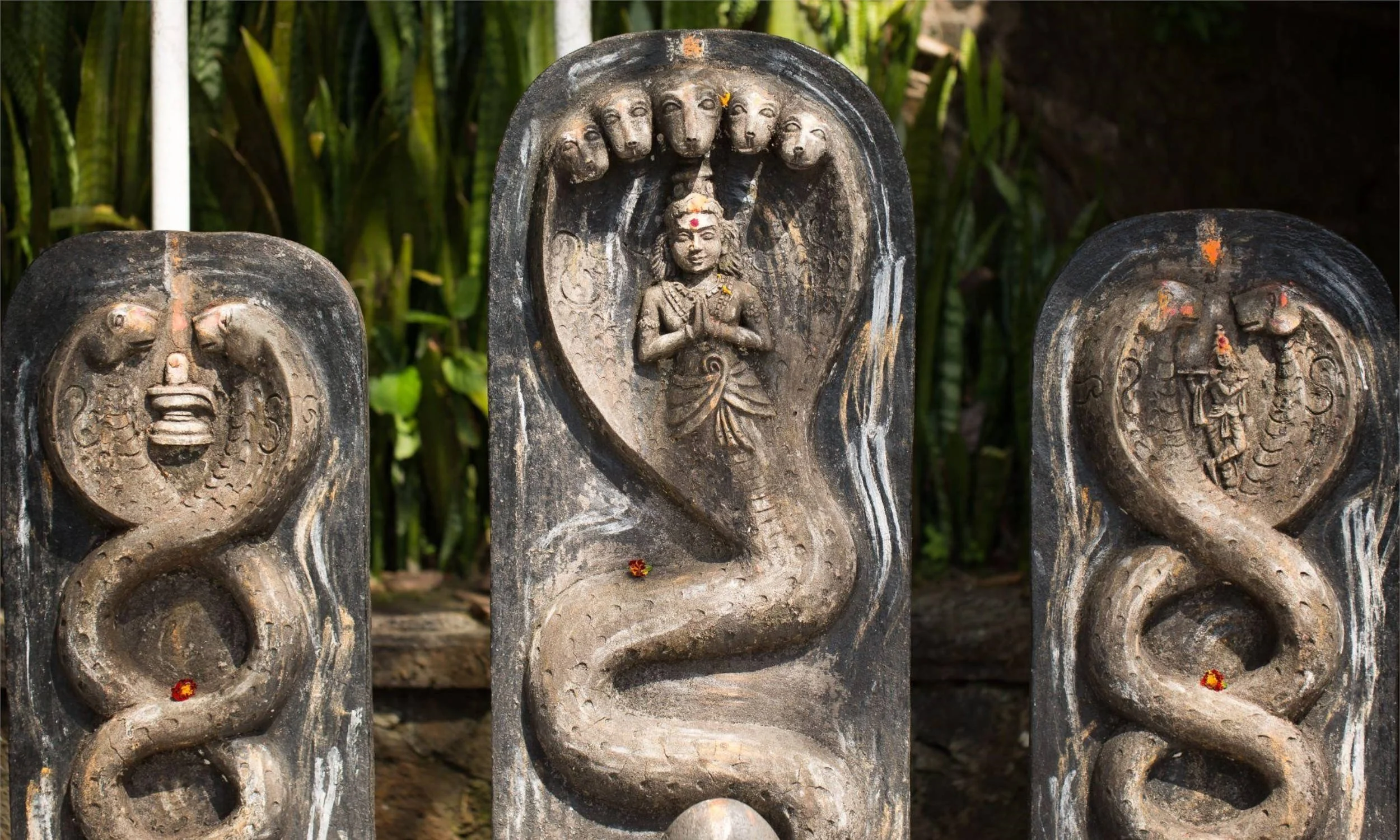 Nag Panchami: Worship the Serpent Deities