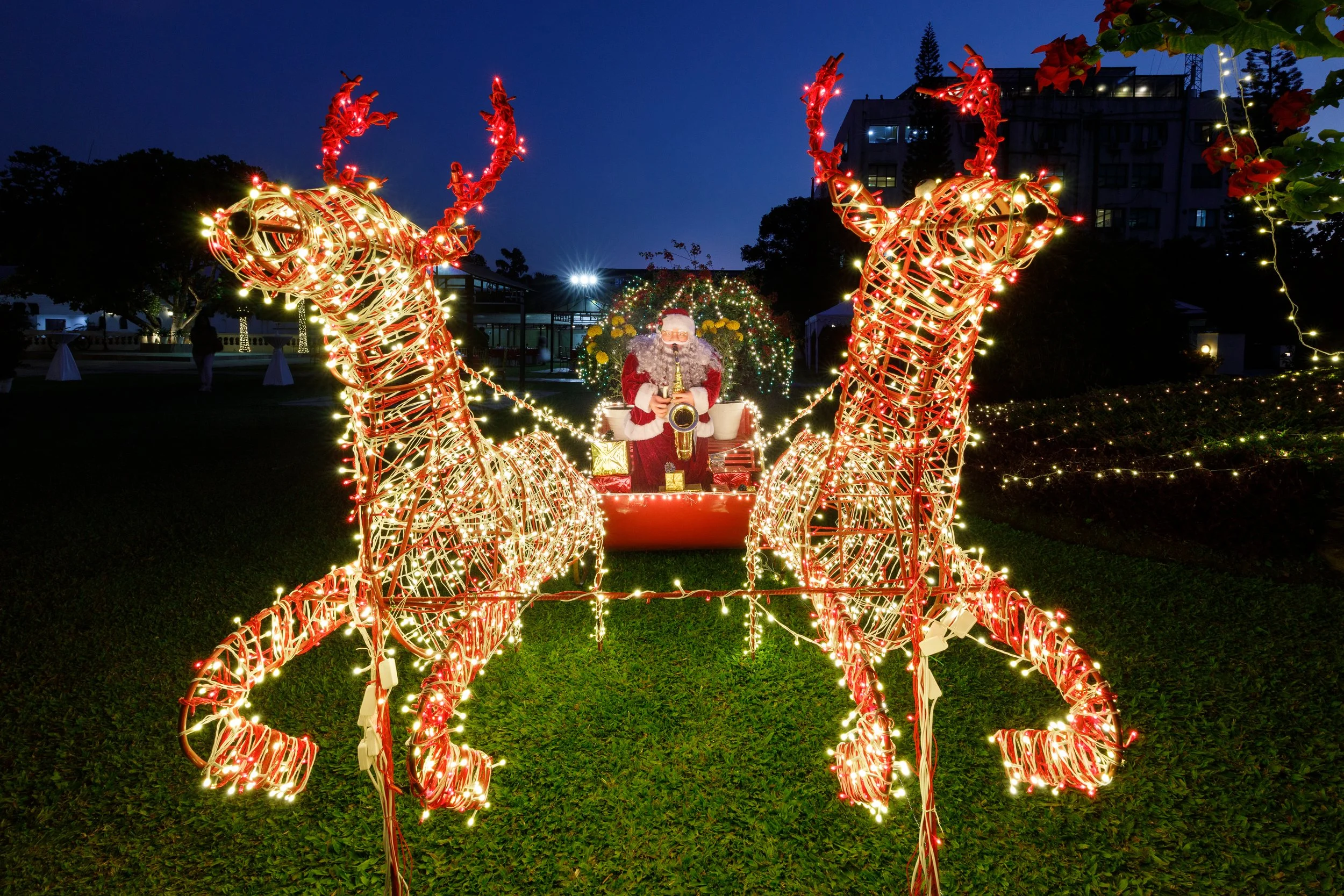 The People of Kathmandu and Their Warm Embrace of Christmas