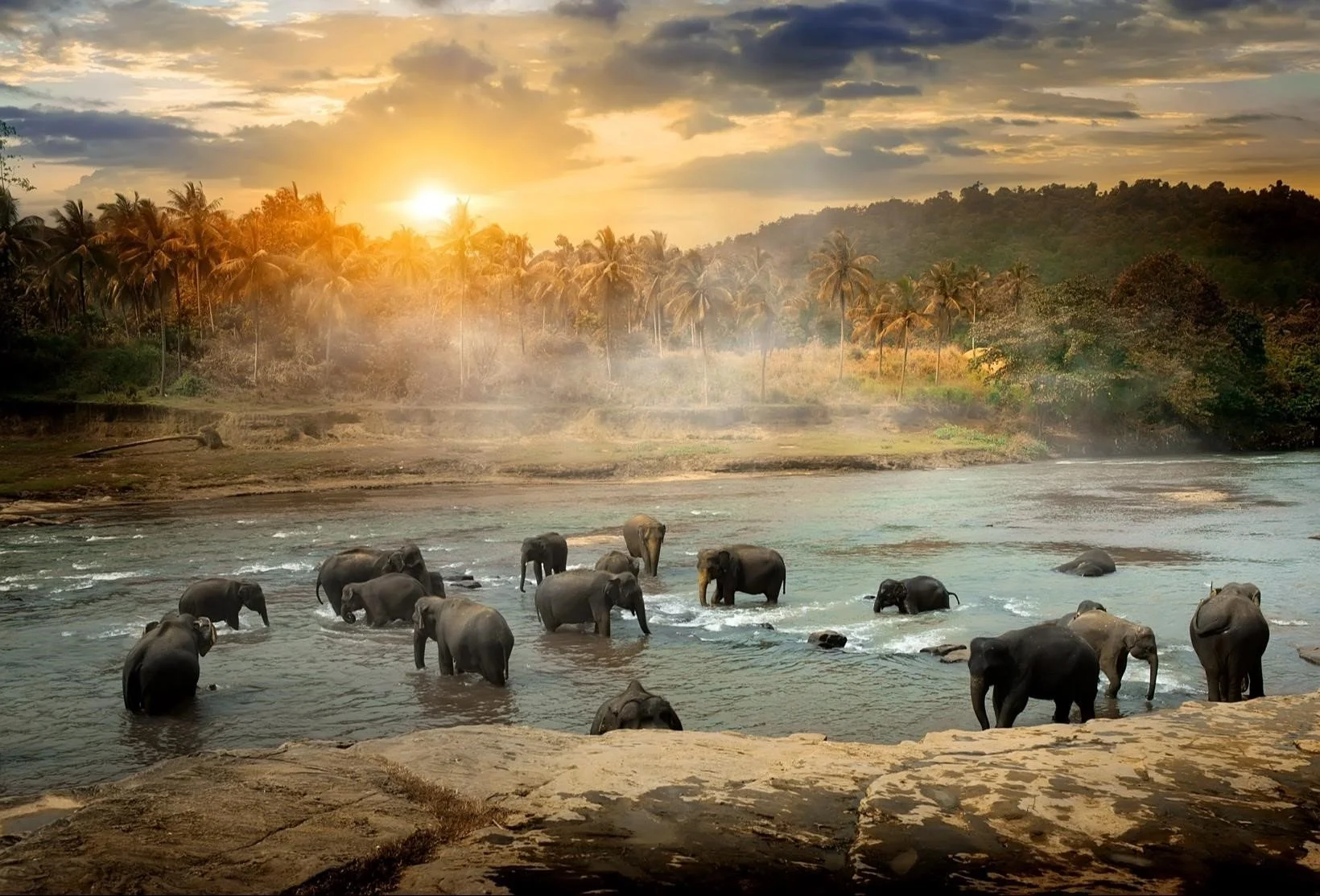 Wildlife Safaris and Birdwatching in Spring: Nepal’s Untamed Beauty Awaits