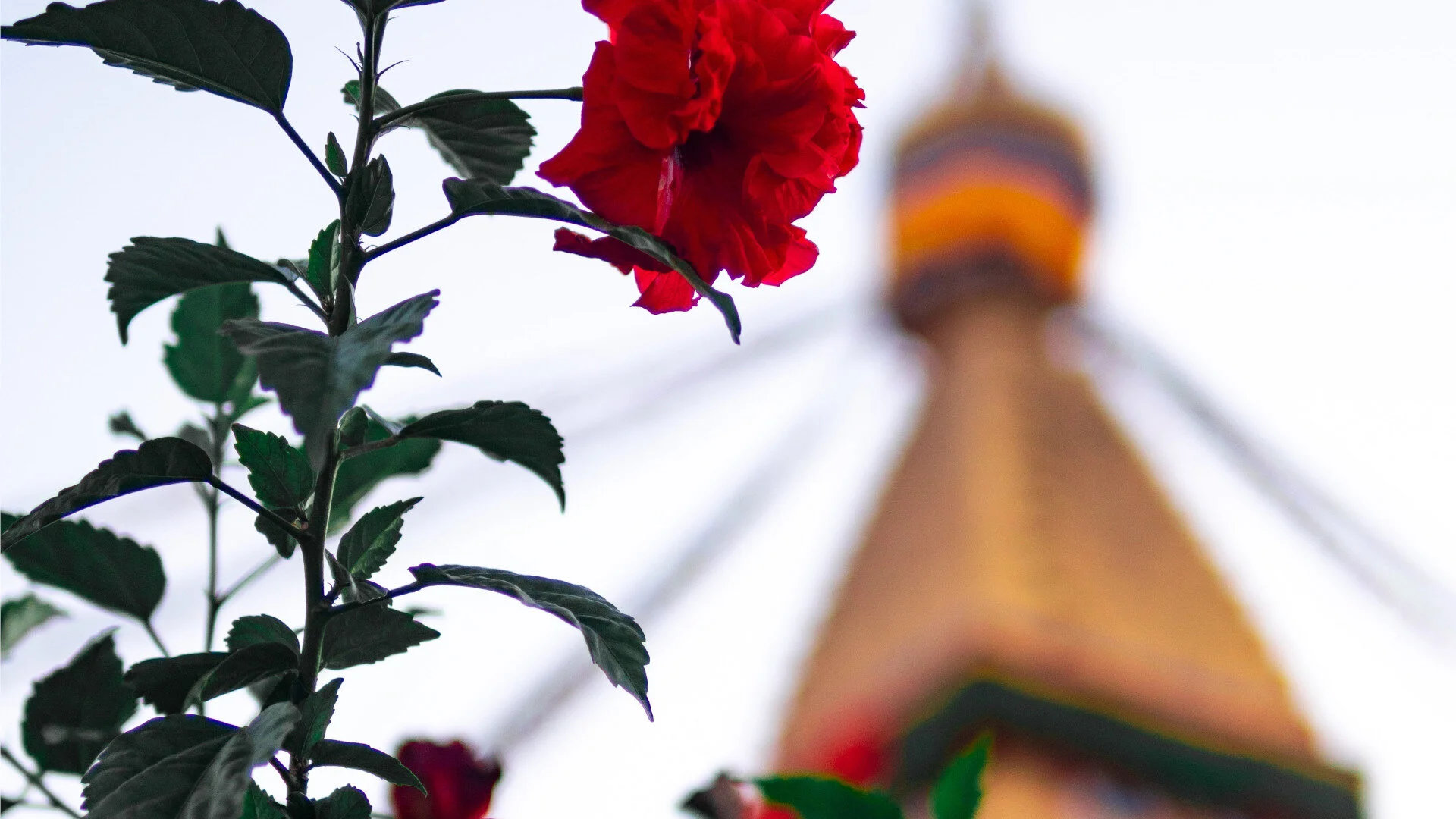 Decoding The Seasons of Nepal