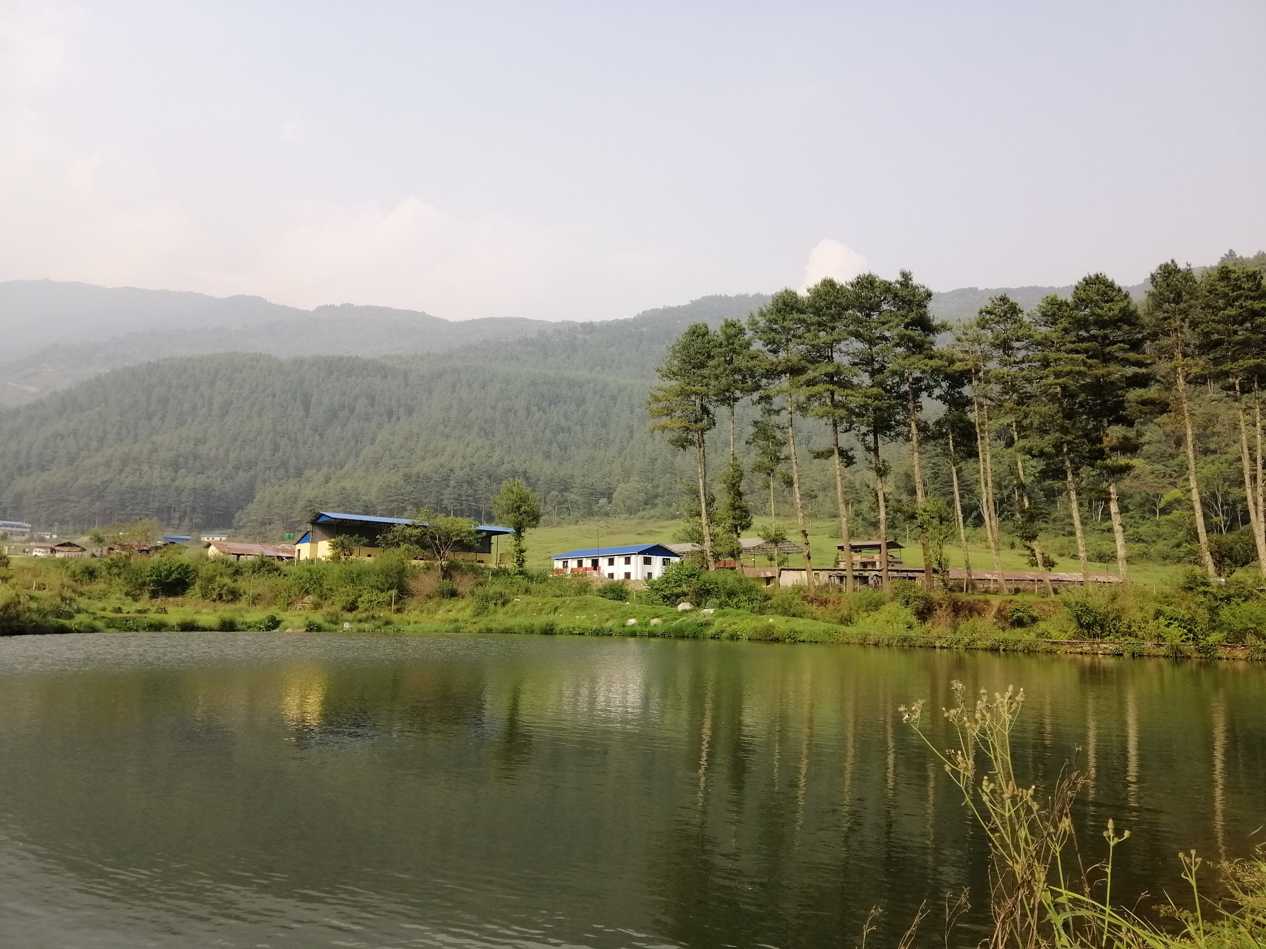 An unexpected journey to paradise