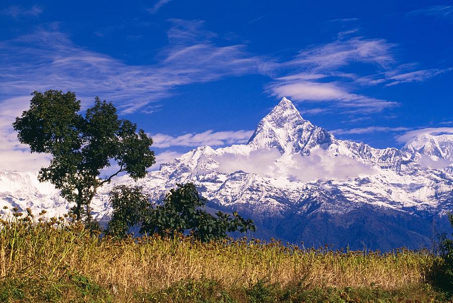 Mt. Macchhapuchhre/Mt. Fishtail