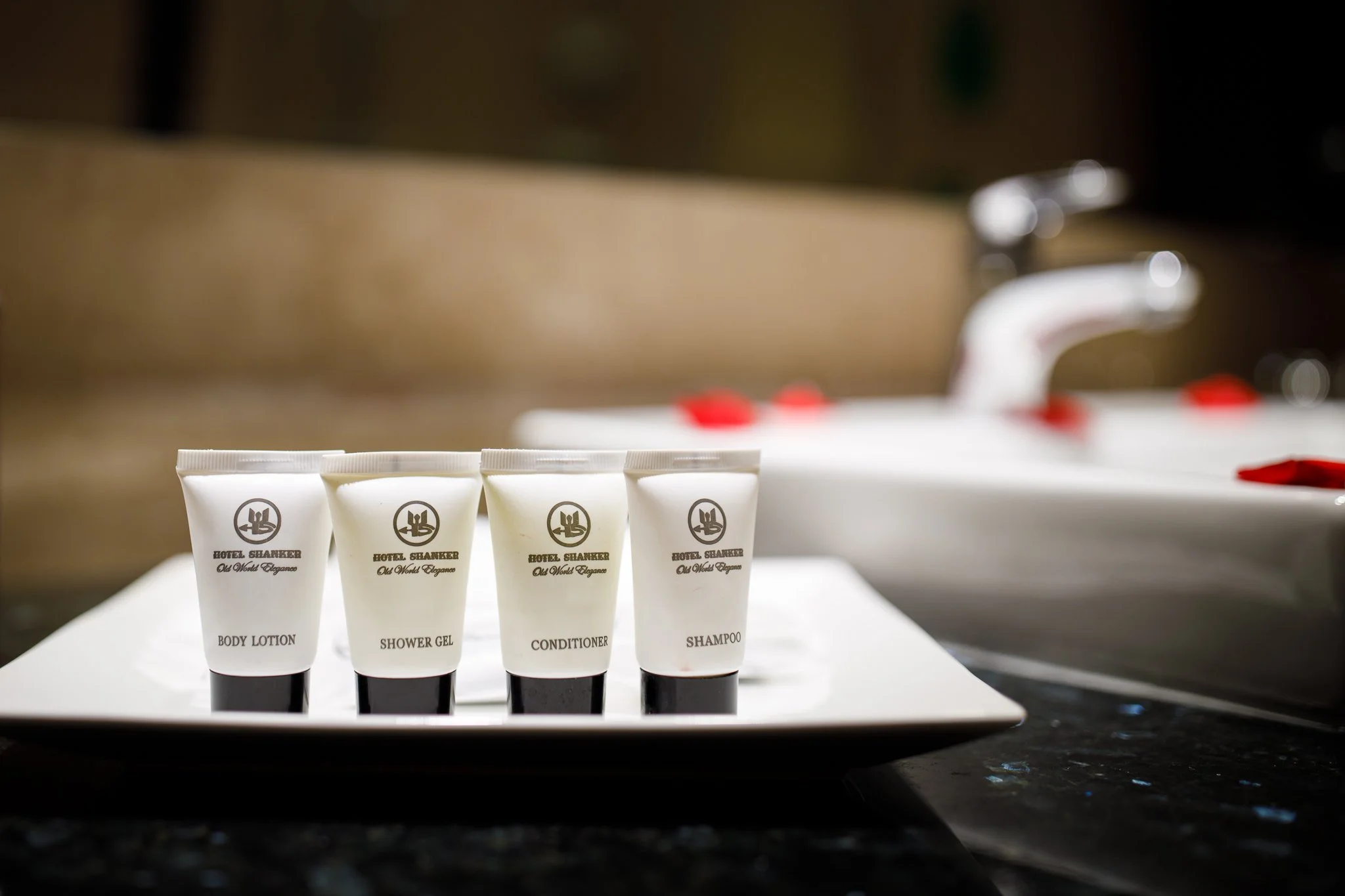 hotel-shanker-kathmandu-single-room-12.jpg (Copy) (Copy)