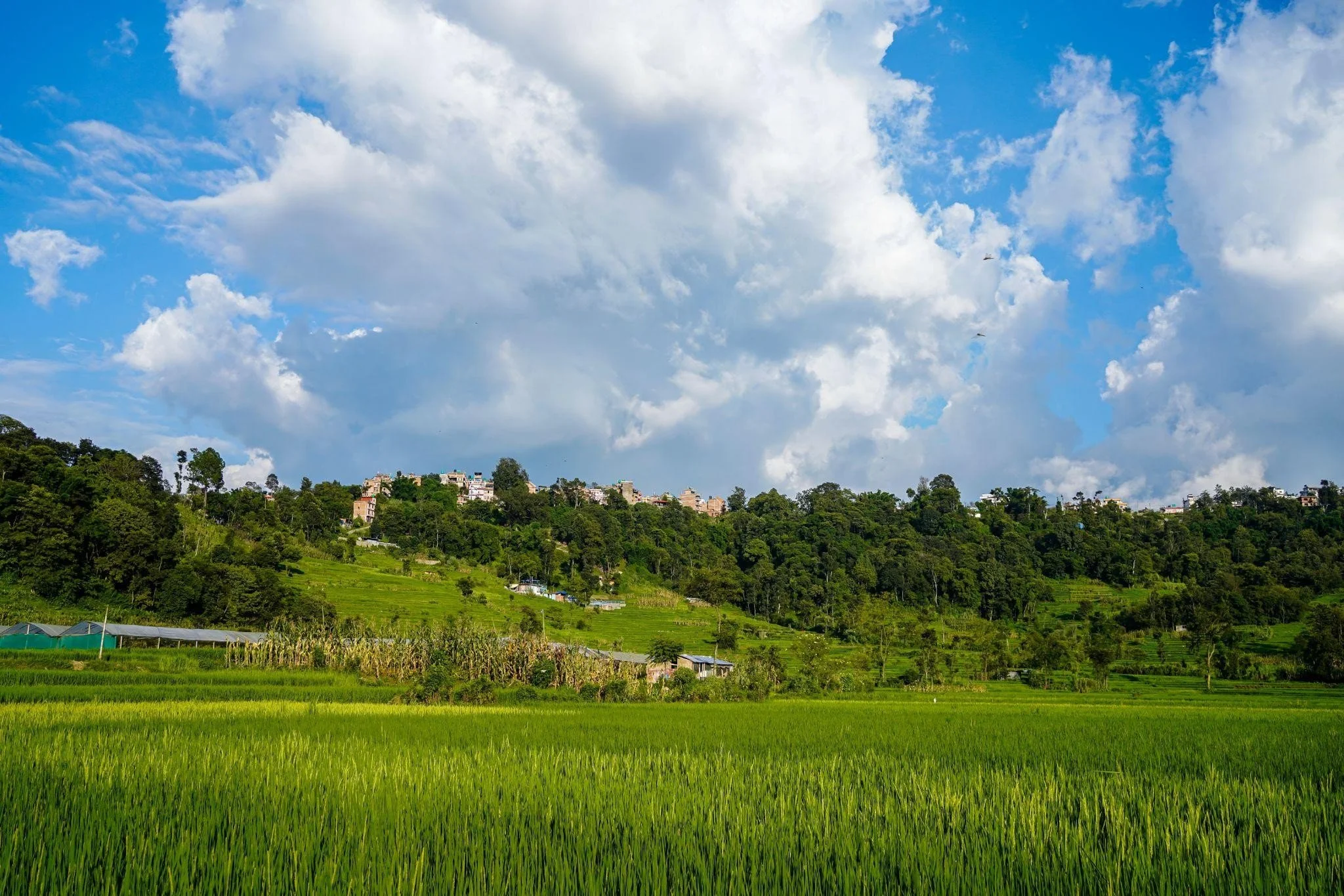 Discovering Kathmandu’s Quiet Green Escapes