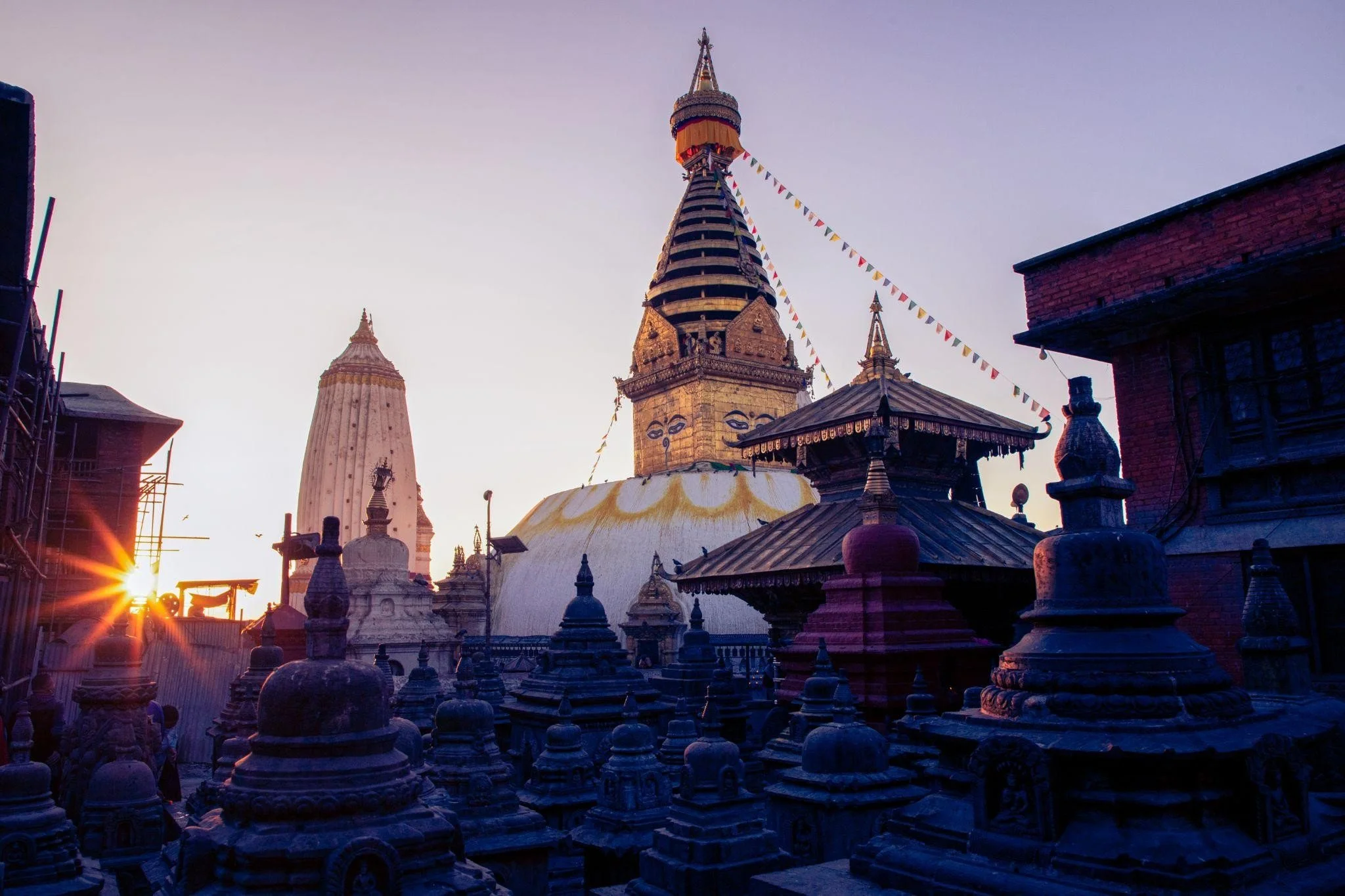 Best Cultural Experiences Near Hotel Shanker