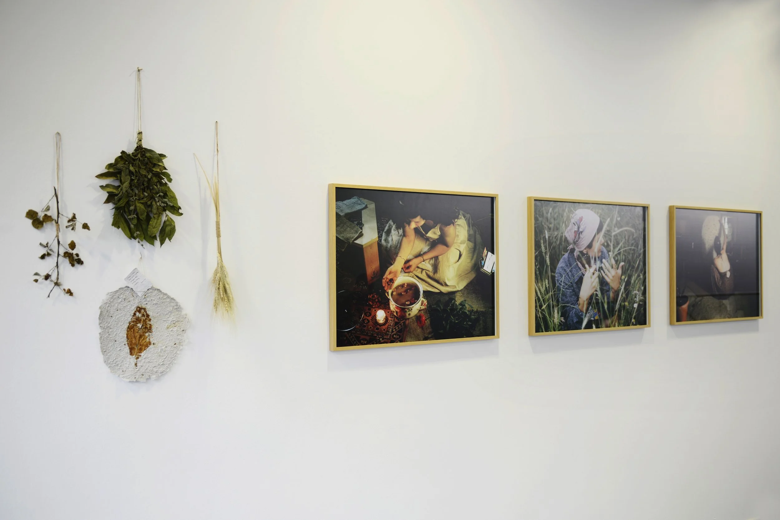 _DSC8325 copy.jpg