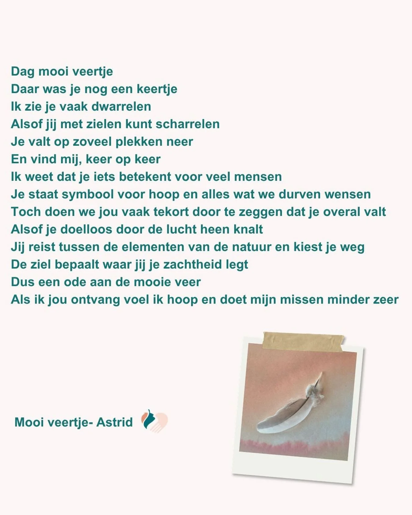 Ergens in geloven is voor mij een vorm van richting geven aan mijn gevoel. Niet om te snappen of te verklaren. Wel om bij mijzelf toe te laten en te ervaren. Waar geloof jij in?🪶

#mooiveertje #geloven #gedicht #zachtjezelf