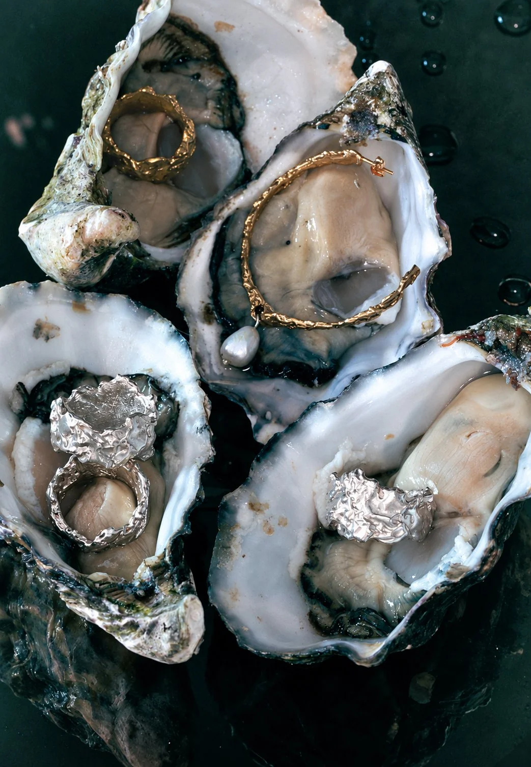 OYSTER STILL LIFE.jpg