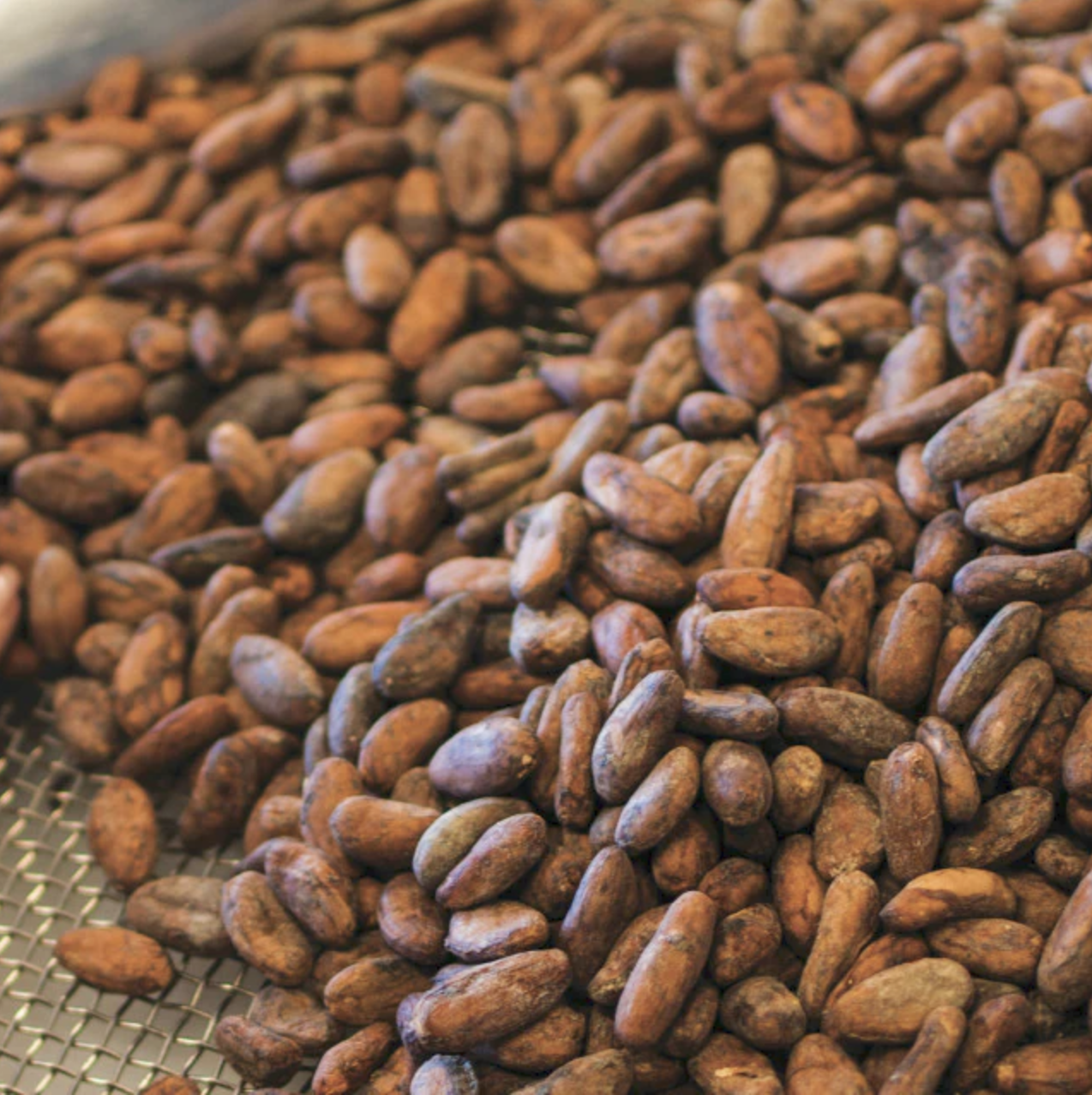 CACAOKANE | DAILY RITUAL BEANS (4 OZ)