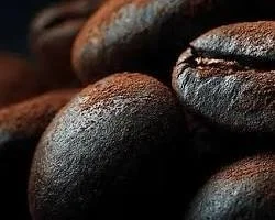 Close-up of roasted coffee beans.