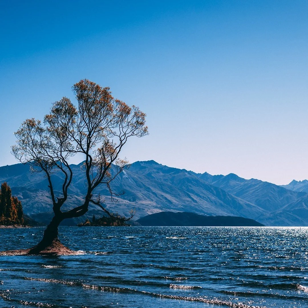 Queenstown and Wanaka 😍
Throwback post from Autumn 2021.