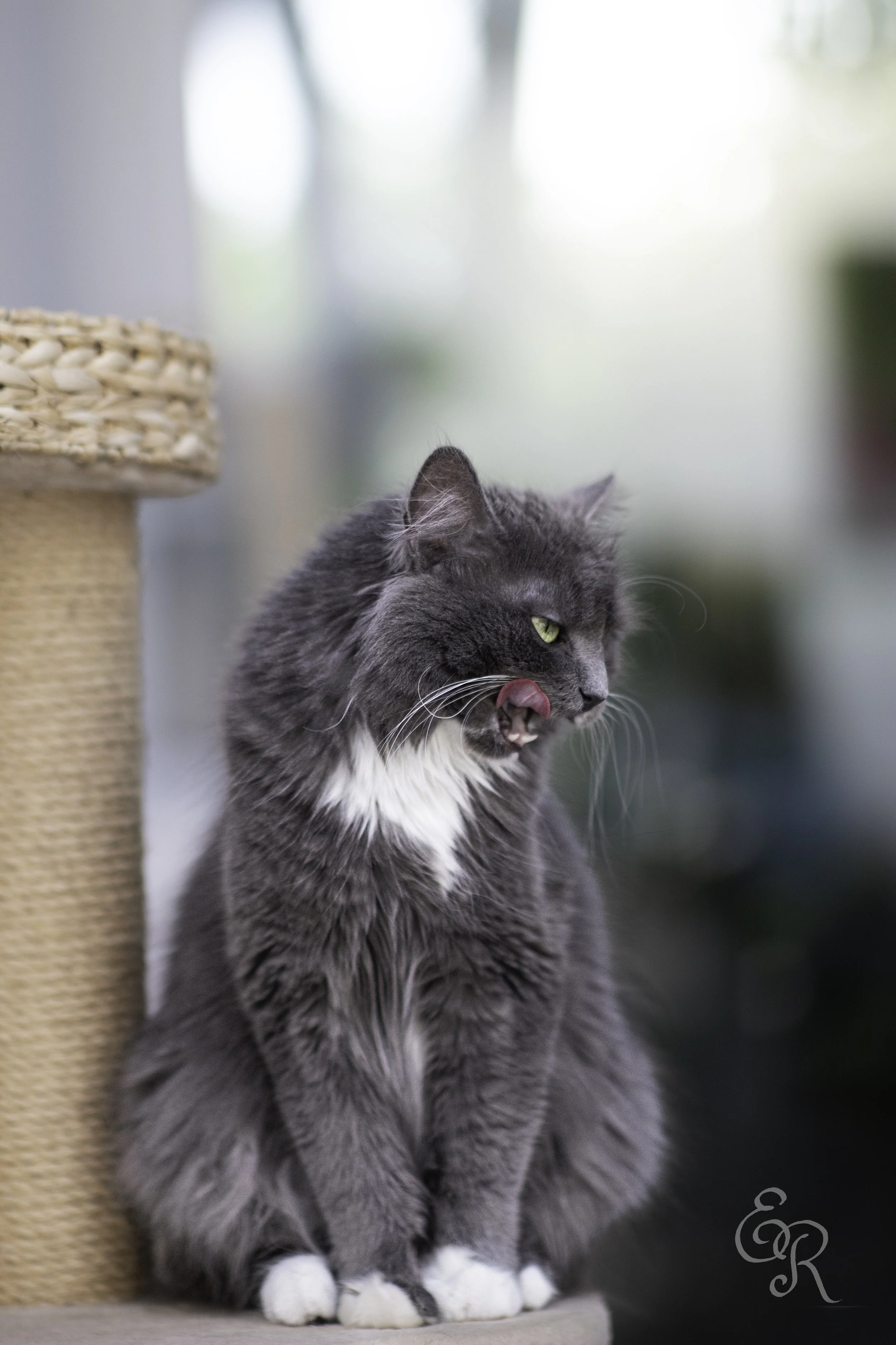 IMG_7539-Edit.jpg