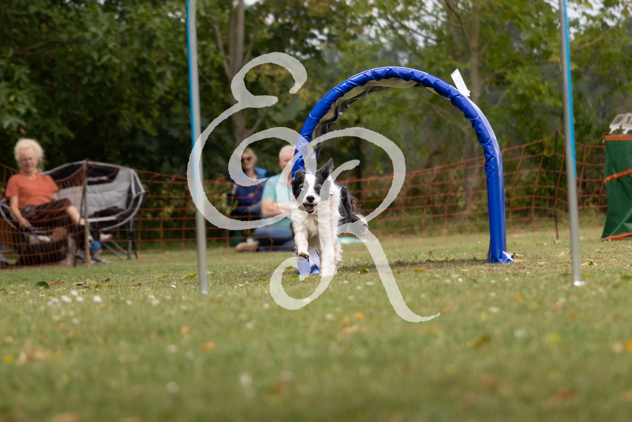 0V0A4498 2.jpg