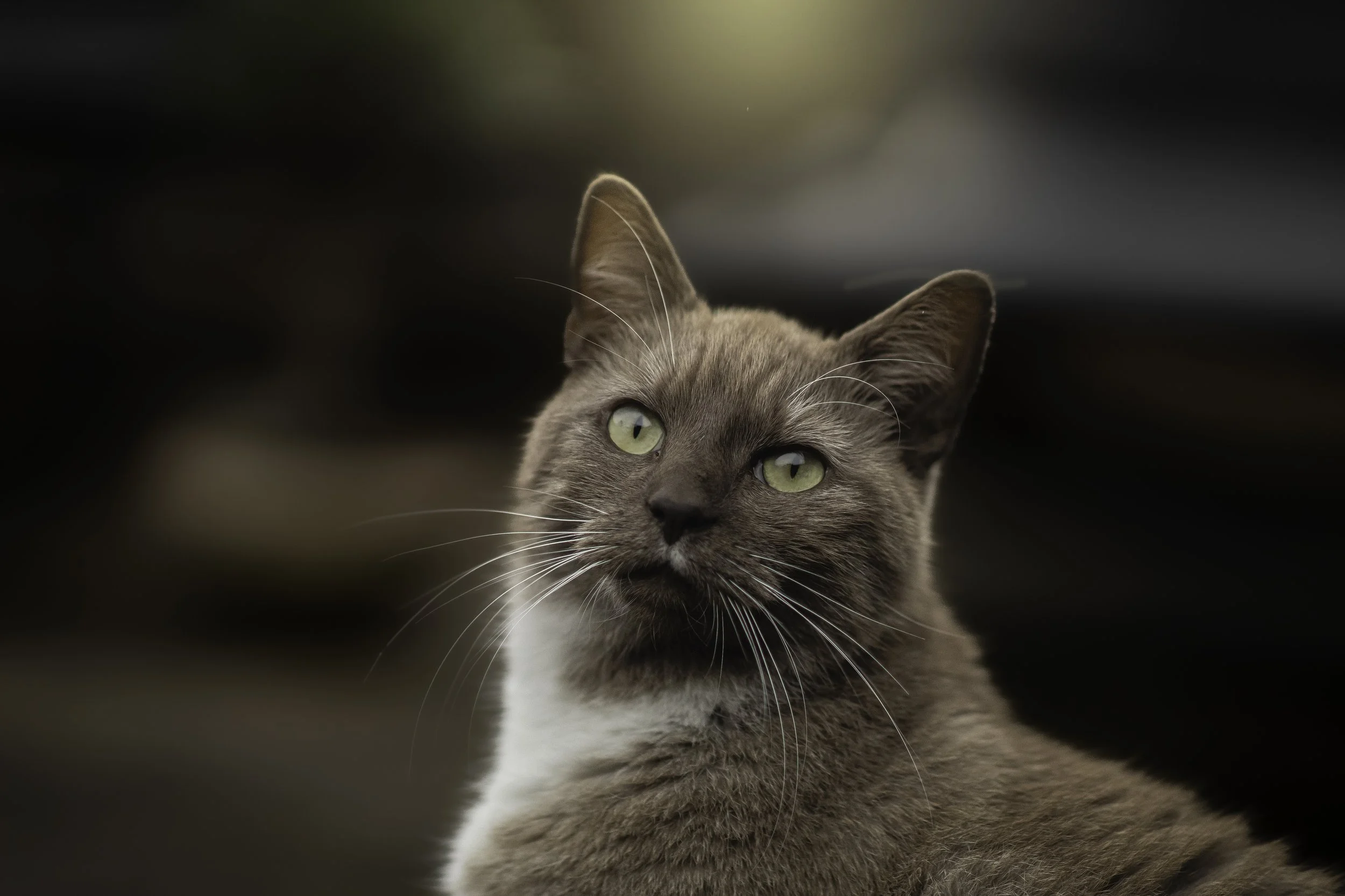 IMG_6361-Edit.jpg