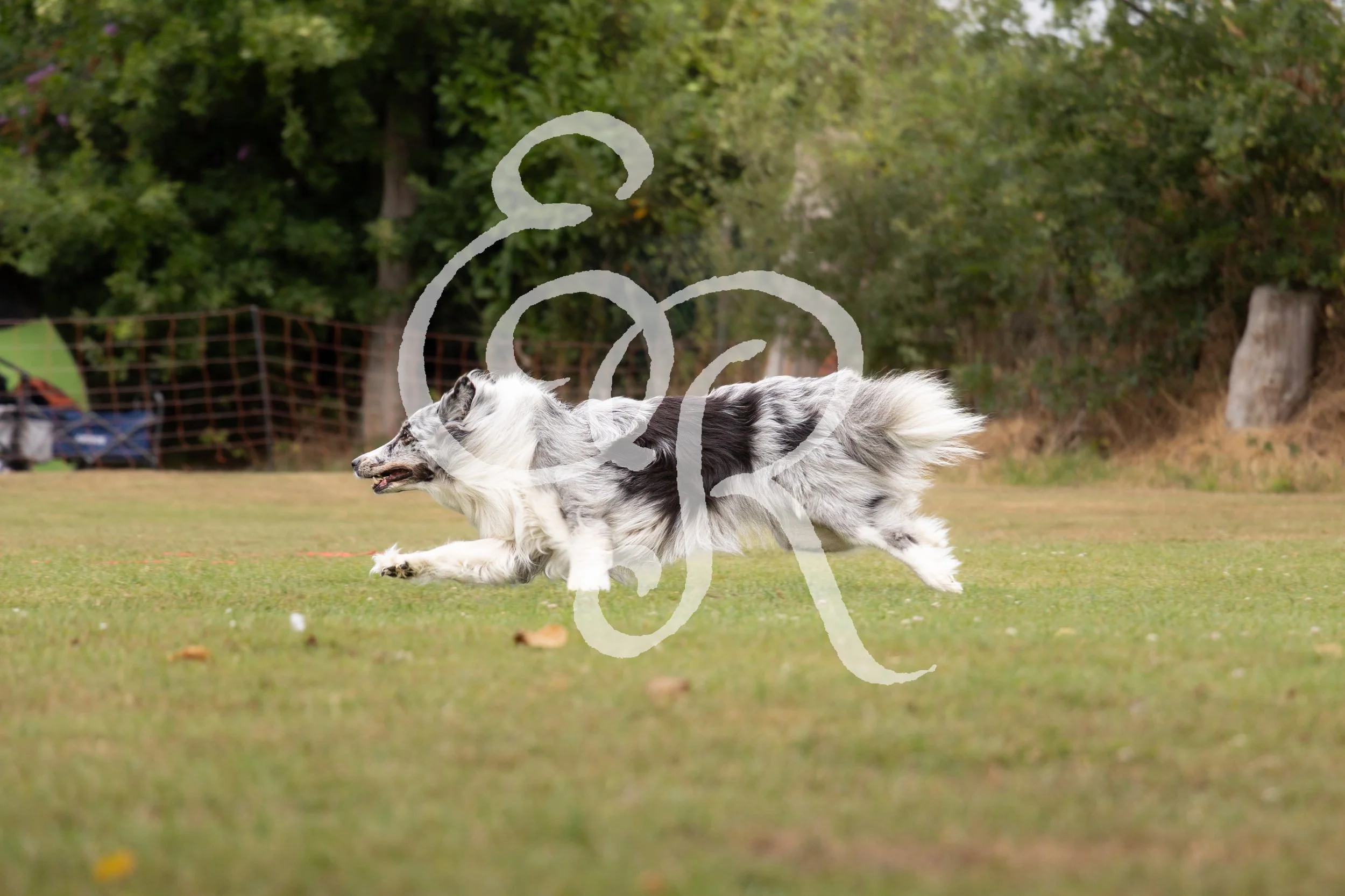IMG_1909.jpeg